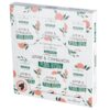 Plant Based Backflow Incense Cones - Apple & Cinnamon – Image 2