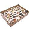 Mineral Specimens - Mixed Pieces (approx 24 pieces) - Image 2